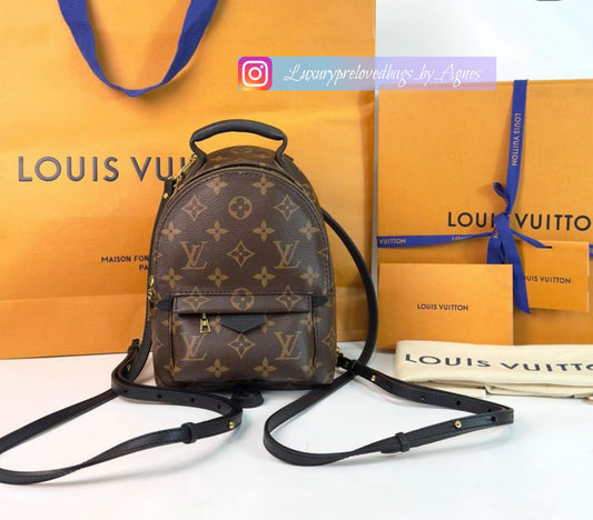 Louis Vuitton Palmspring mini