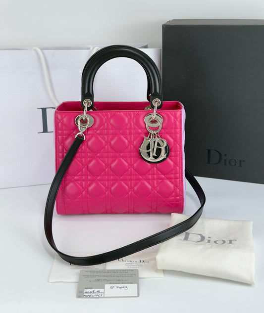 Lady Dior Tricolor